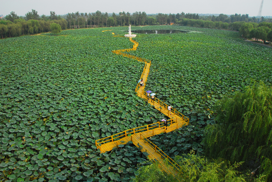 四川中學(xué)生考什么幼師學(xué)院