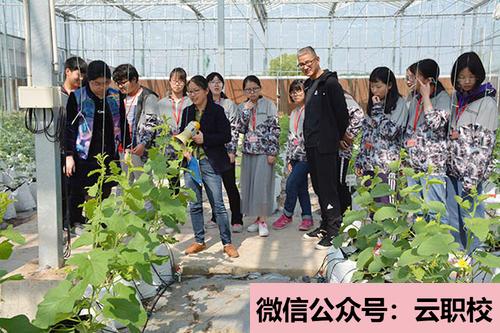 2021年特色幼兒園、幼教藝術(shù)企業(yè)、創(chuàng)意產(chǎn)業(yè)園、國際幼教集團(tuán)(幼兒教育(國家級(jí)非遺藝術(shù)班))