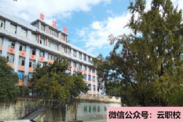 甘肅2021年護理學(xué)校開設(shè)有哪些課程?