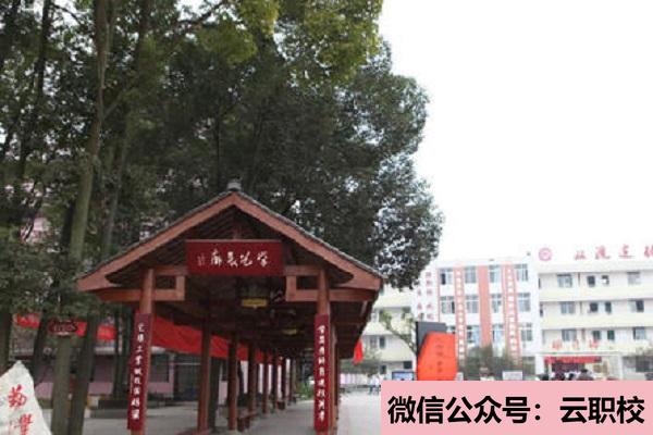 重慶市紅春藤技工學(xué)校怎么樣?(重慶沙坪壩區(qū)2021年現(xiàn)在讀什么衛(wèi)校好)