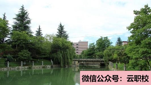 云南商務職業(yè)學院招生計劃