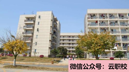 金山職業(yè)技術學院單招報名時間圖2