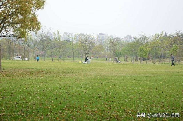 四川省成都衛(wèi)生學校(四川省成都衛(wèi)生學校地址)