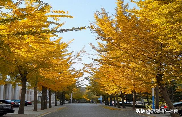 成都職業(yè)高中有哪些公辦學(xué)校(沈陽職業(yè)高中公辦學(xué)校有哪些)