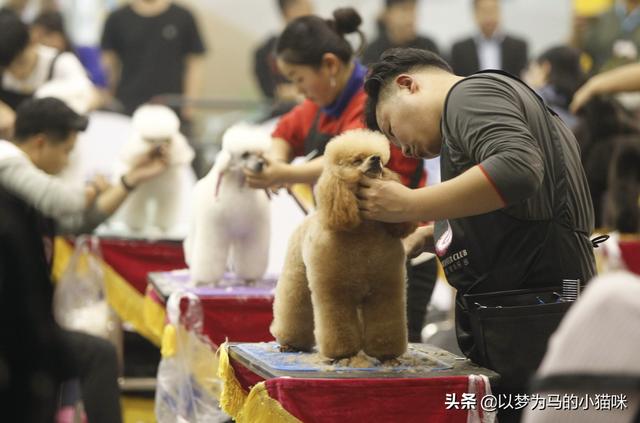 適合女生讀的職業(yè)學校專業(yè)(重慶適合女生讀的職業(yè)學校)圖3