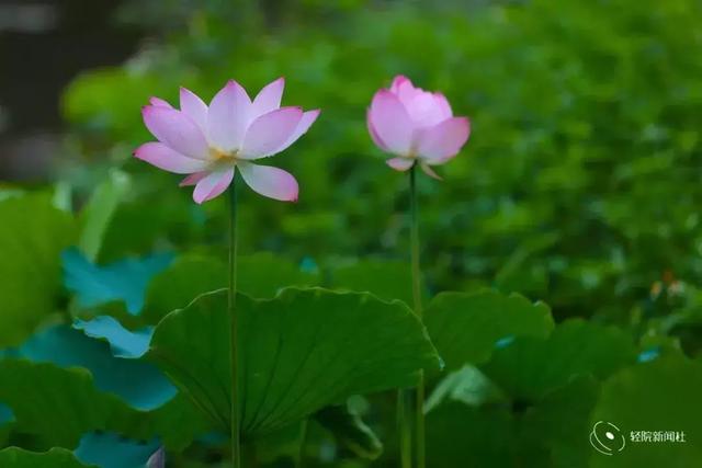 廣東輕工職業(yè)技術(shù)學校(廣東輕工職業(yè)技術(shù)學校教務(wù)系統(tǒng))