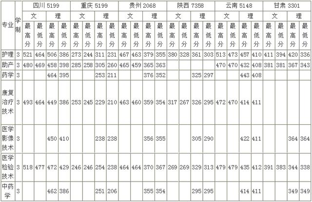 四川護(hù)理本科學(xué)校有哪些的簡單介紹