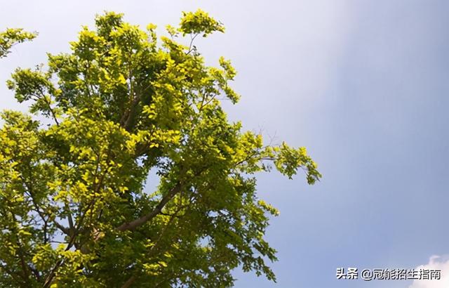 四川幼師專業(yè)學(xué)校有哪些職校(青島幼師專業(yè)學(xué)校有哪些)