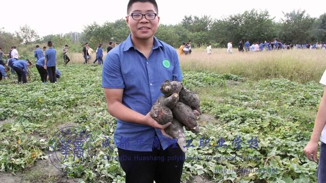 成都華商理工職業(yè)學校怎么樣(成都華商理工職業(yè)學校怎么樣評價)