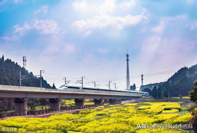 資陽市希望職業(yè)學(xué)校(資陽市中等衛(wèi)生職業(yè)學(xué)校)