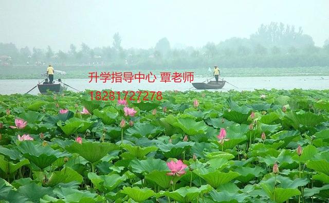 攀枝花經(jīng)貿(mào)旅游學(xué)校在哪里(攀枝花經(jīng)貿(mào)旅游學(xué)校貼吧)